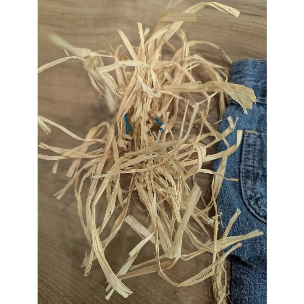 🌈5/25 3T Scarecrow Costume